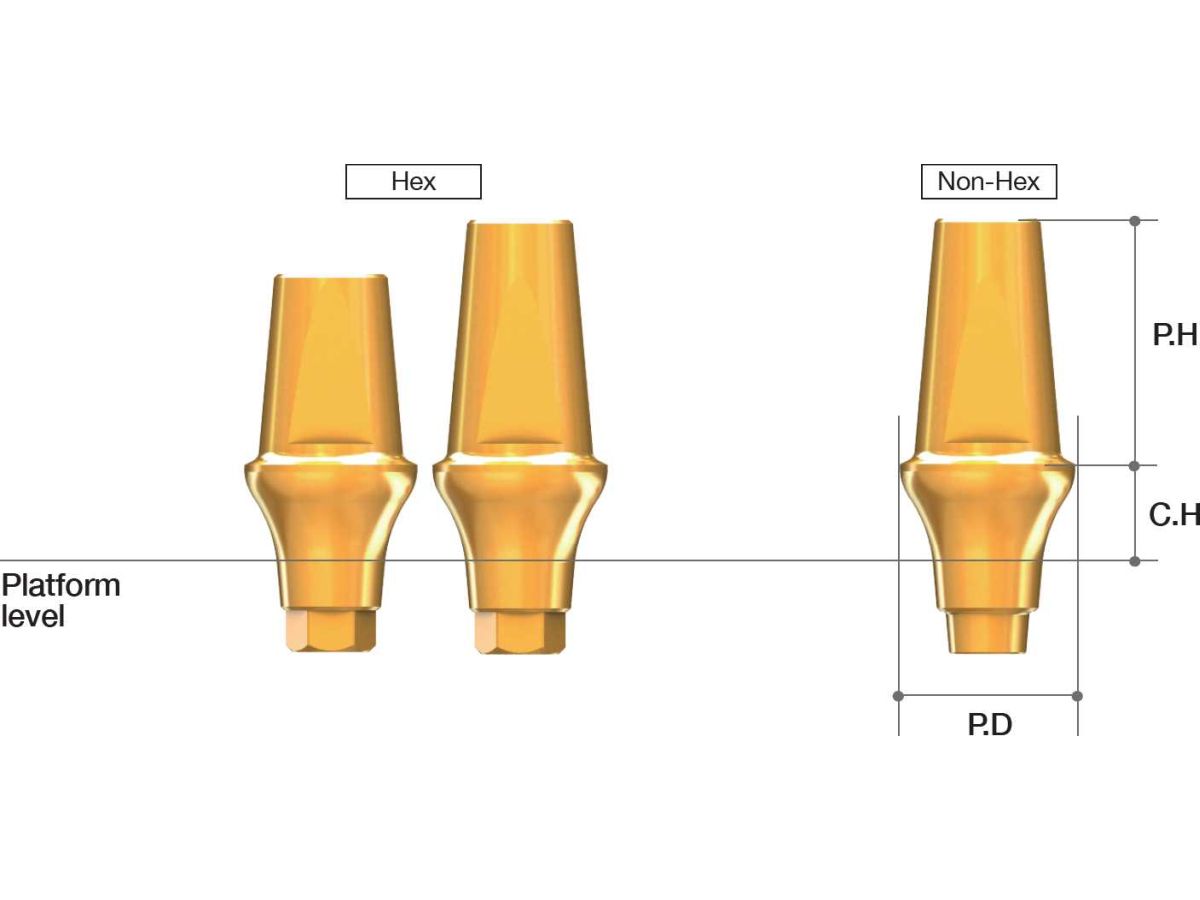AnyRidge EZ Post Abutment (Non-locked)