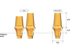 AnyRidge EZ Post Abutment (Locked)