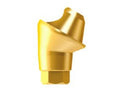 AnyRidge MUA Angled Abutment - 30°