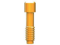 AnyRidge Abutment Screw