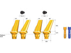 AnyRidge Angled Abutment (Hex-e)