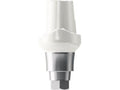 AnyRidge Fuse Abutment Straight