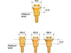 AnyRidge Octa Abutment
