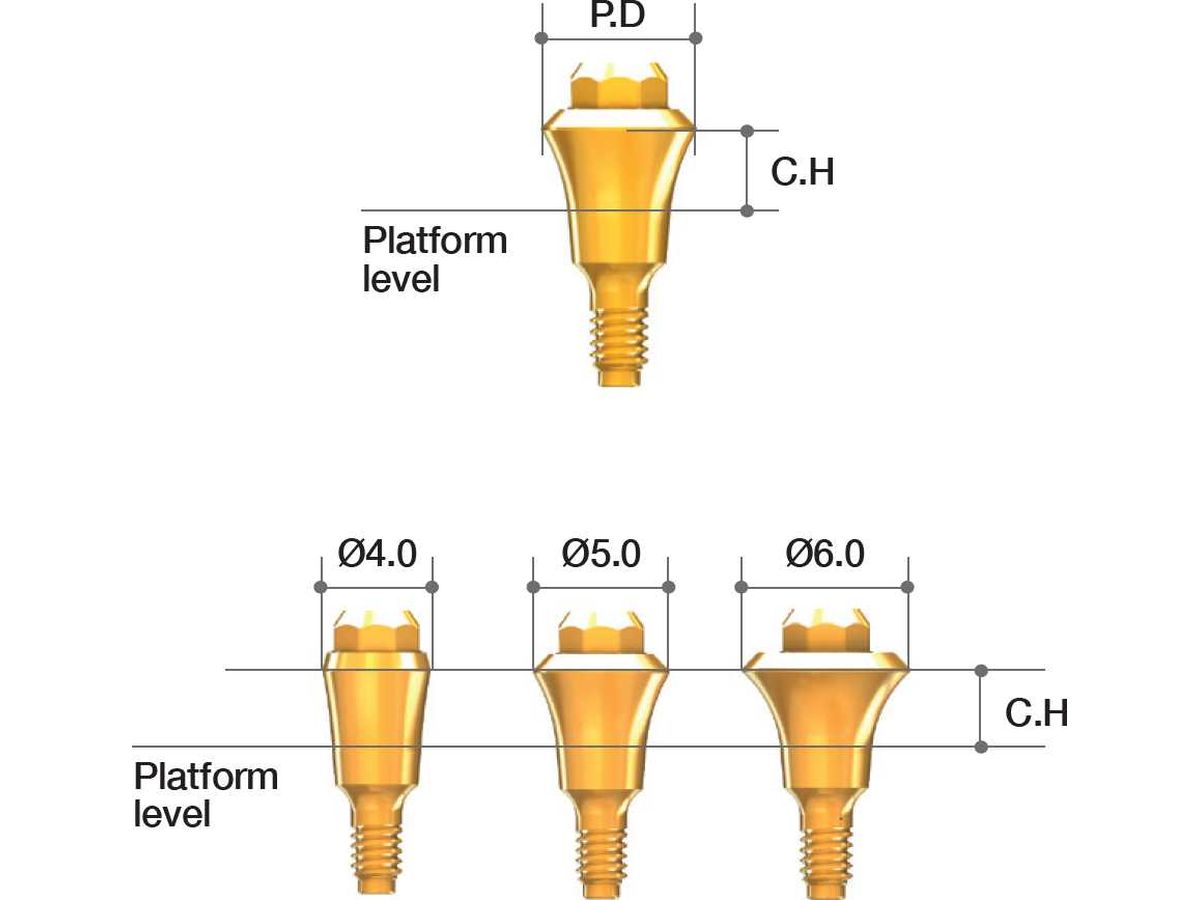 AnyRidge Octa Abutment