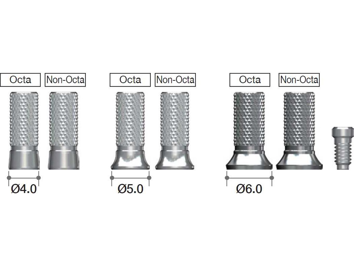 Temporary Cylinder (Octa Level)