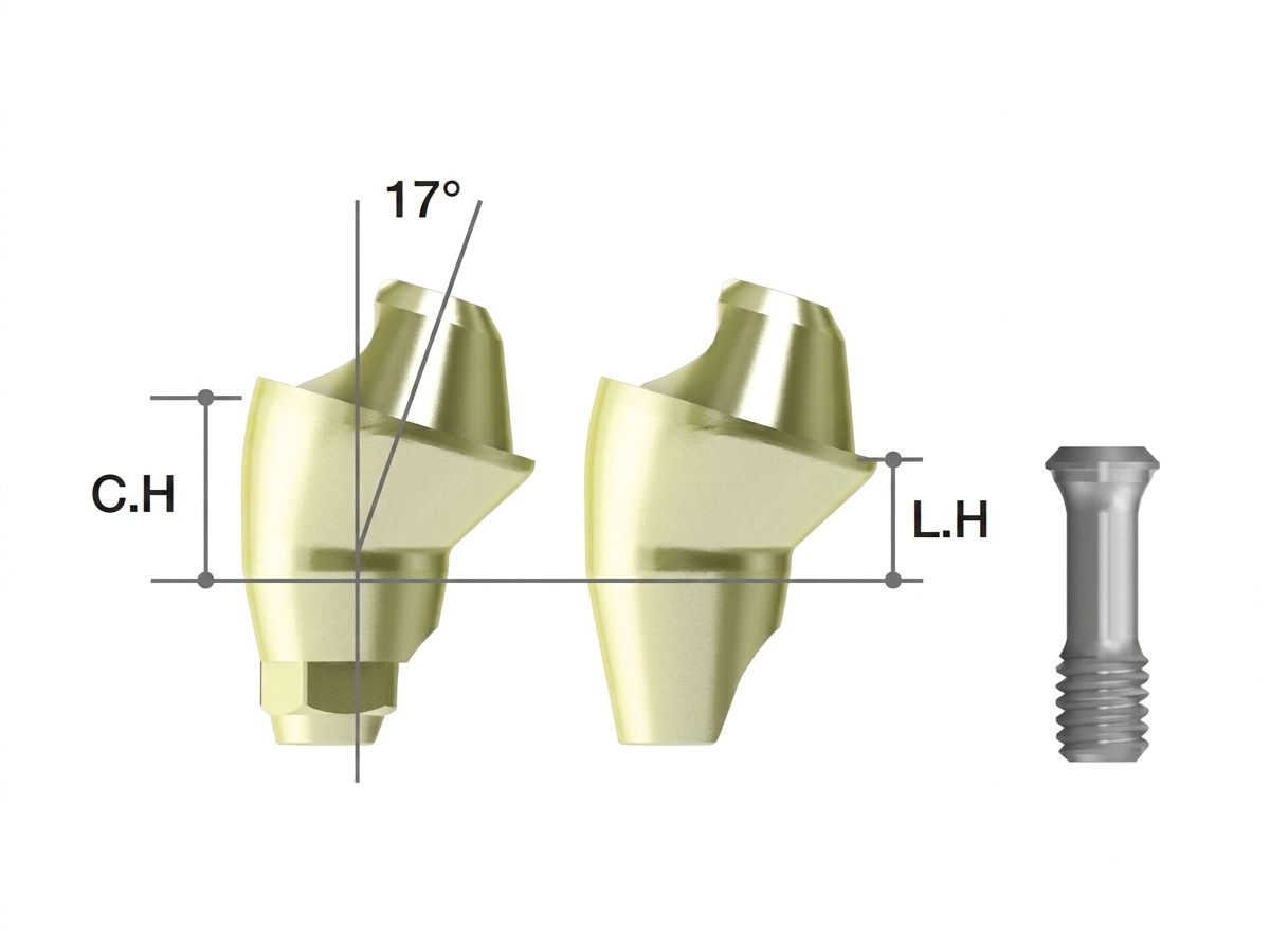 ST MUA Abutment - Angled 17° (ST Regular)