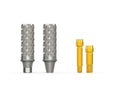 ST Temporary Abutment (ST Mini)