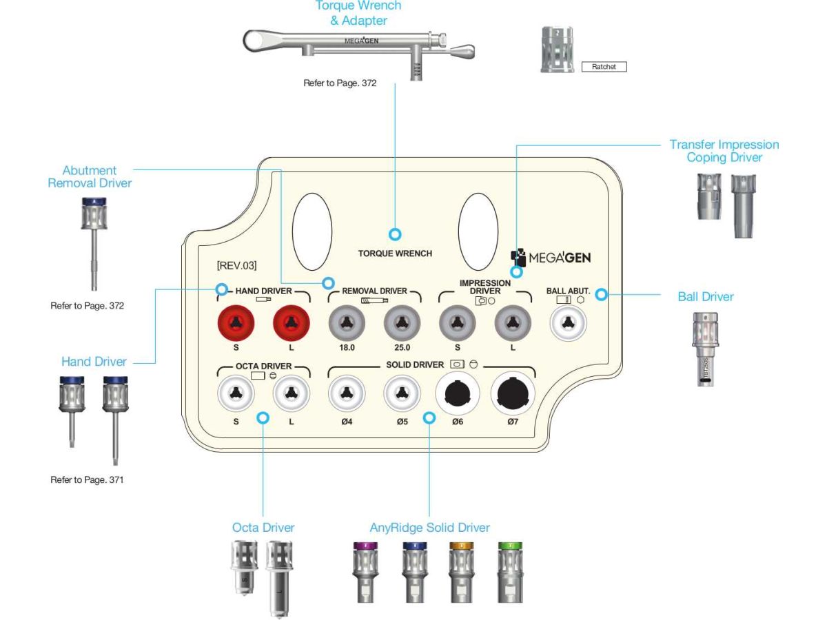 AnyRidge Prosthetic Kit