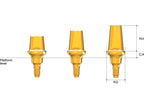AnyRidge Solid Abutment