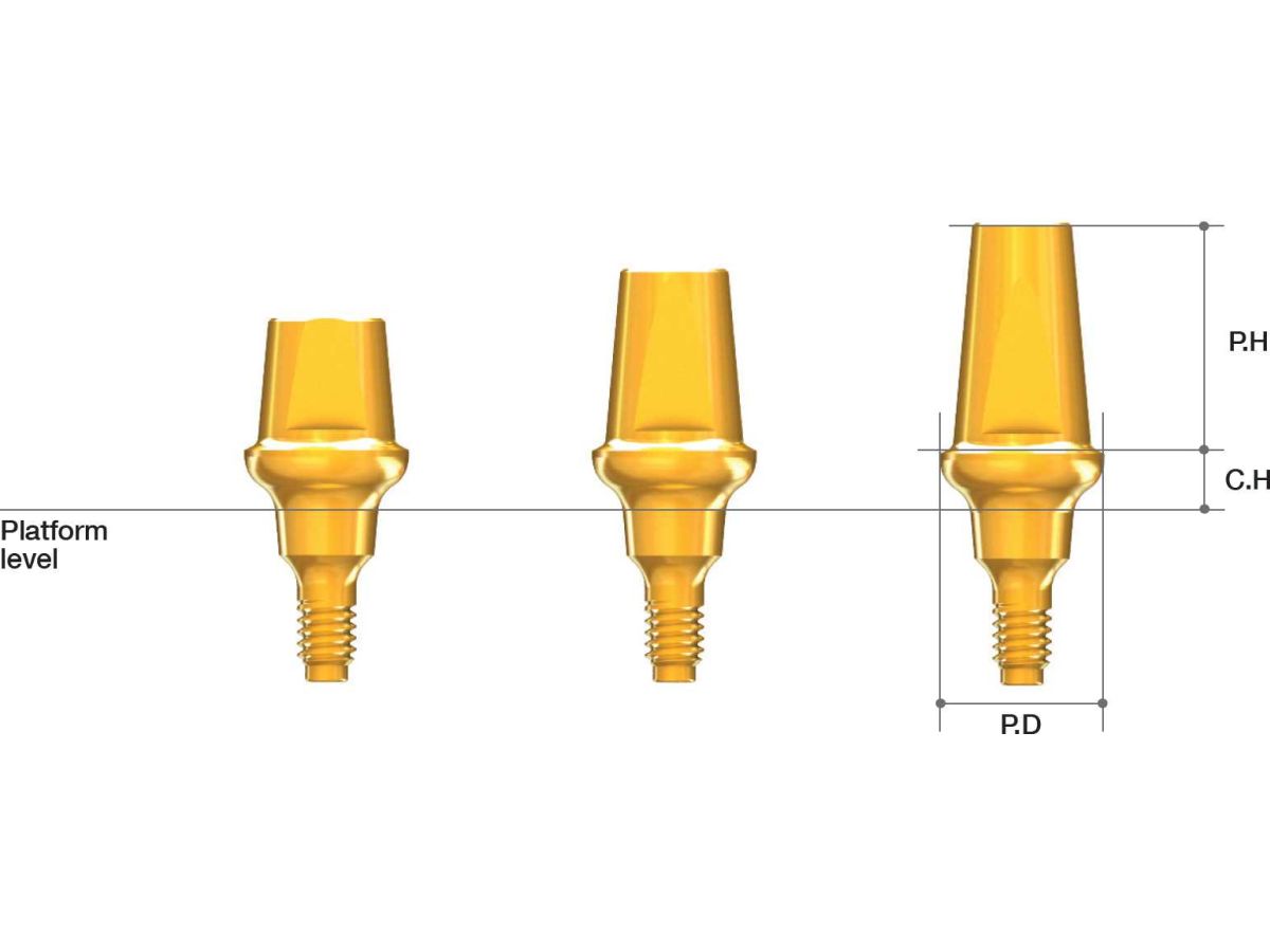 AnyRidge Solid Abutment