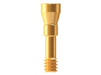 Blue Diamond Abutment Screw