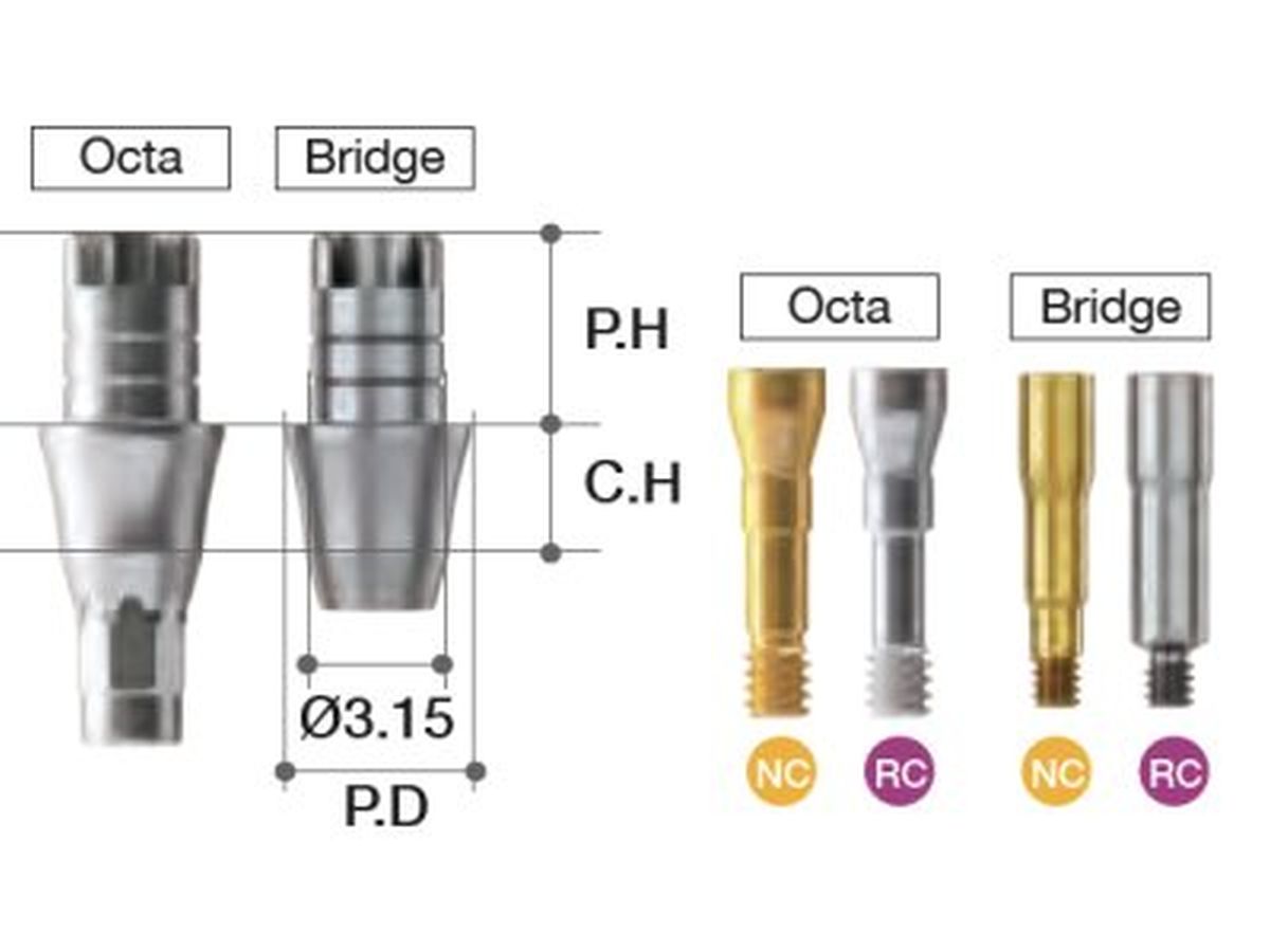 Blue Diamond ZrGen Abutment Bridge (RC)